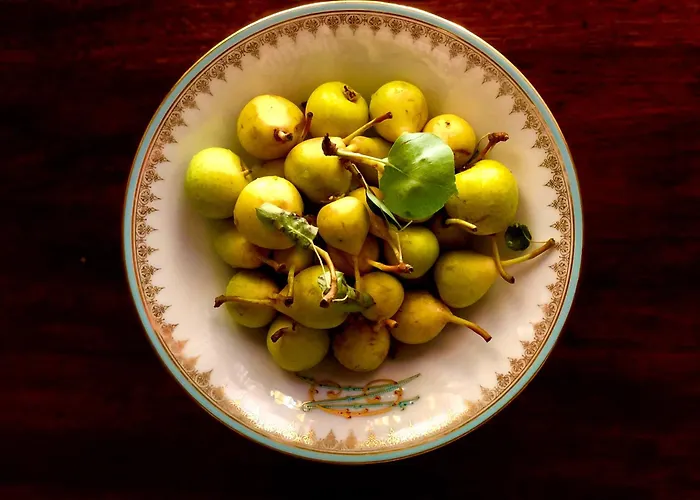 Palazzo Cherubini-pools & Wellness Rossano