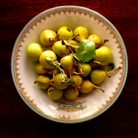 Palazzo Cherubini-pools & Wellness Rossano